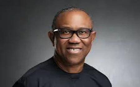 Kaduna Police Halt Planned Rally for Peter Obi Over Security Concerns