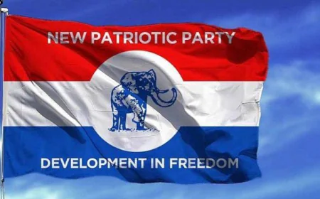 NPP Delegates Reject Key Constitutional Amendments on Youth Definition, Electoral Supervision