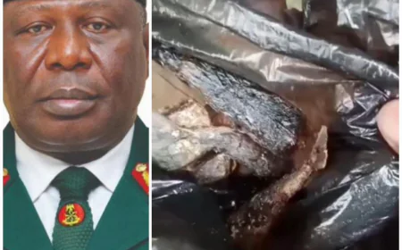 Nigerian Army Initiates Investigation into Viral Video Alleging Poor Feeding of Troops
