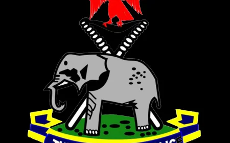 Man Attacks Ex-Girlfriend, Kills Her Mother in Borno Farm Tragedy