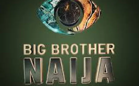 Big Brother Naija Season 10: The Men Have Entered the Chat