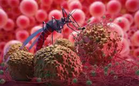 Nine Nigerians Die of Malaria Every Hour, Says SFH