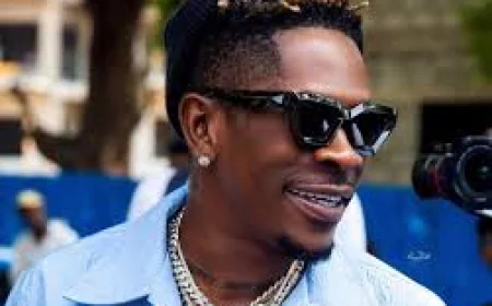 Pastor in Court Over TikTok Prophecy on Shatta Wale's Assassination