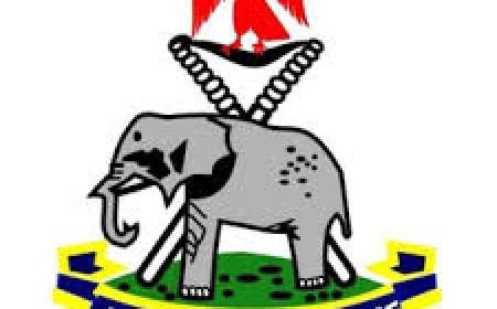 Kidnappers Neutralised, Ransom and Weapons Recovered in Joint Security Operation in Ogwashi-Uku, Delta State