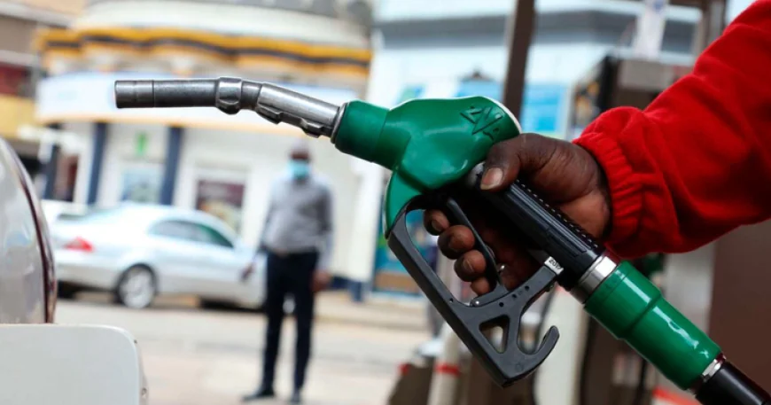 Experts Endorse newly approved Fuel Levy, set to take effect on July,16.