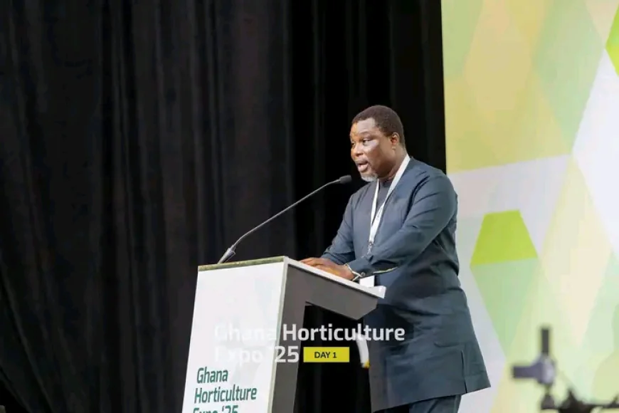 Ghana’s 24-Hour Economy Must Prioritize Value Addition, Says Exporters’ President
