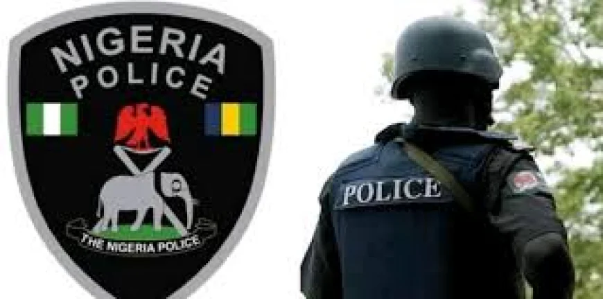 Nigerian Police Operations Lead to Kidnap Victim Rescues, Arrests, and Large Weapon Seizures
