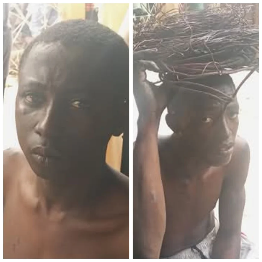 Local vigilantes in Niger State arrested two teenagers, Usman Umar (17) and Ahmad Umar (19), for stealing electrical cables