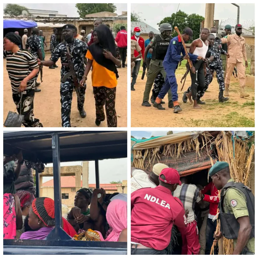 Yobe Launches Crackdown on Drug Hotspots in Damaturu, Dozens Arrested in Major Raid