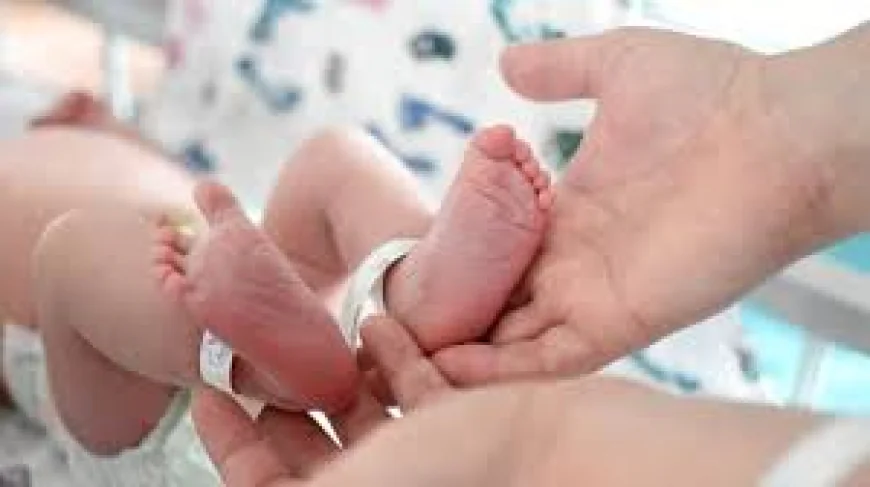 Future of Fertility? UK Welcomes Eight Babies from Groundbreaking IVF Trial