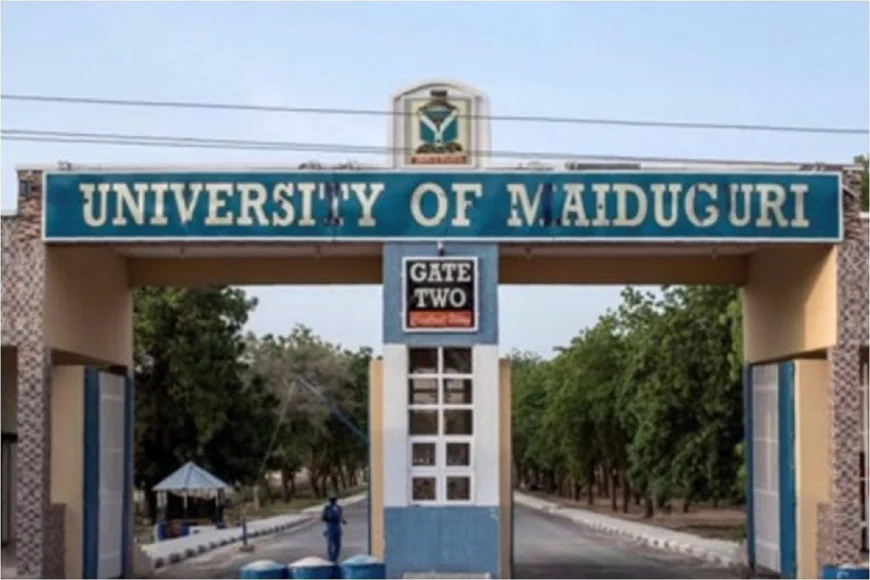 Tinubu Renames University of Maiduguri in Honour of Muhammadu Buhari