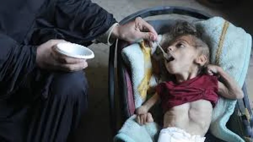 Starvation Used as a Weapon of War Amid Israeli Blockade