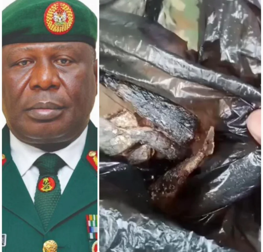 Nigerian Army Initiates Investigation into Viral Video Alleging Poor Feeding of Troops