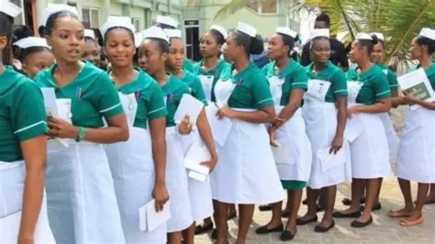 Teacher and Nursing Trainees Celebrate as Government Clears Allowance Arrears