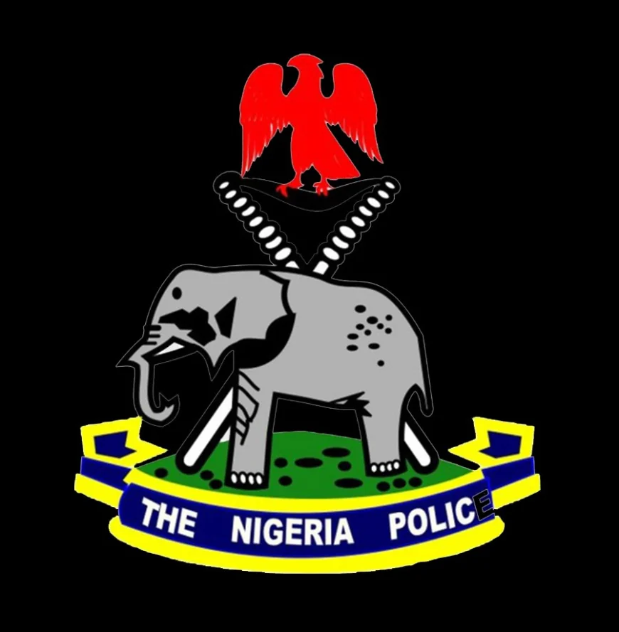 Man Attacks Ex-Girlfriend, Kills Her Mother in Borno Farm Tragedy
