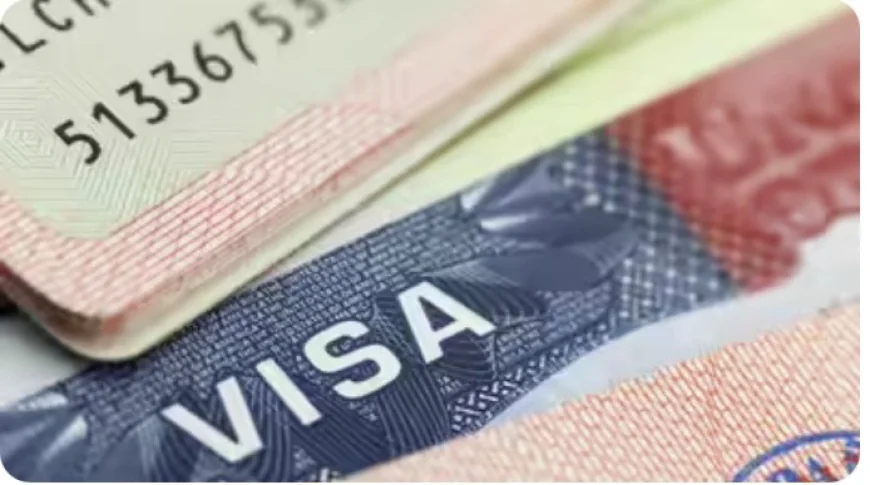 Visa Appointments Are Taking 8 Months — Here's the Secret Hack to Book One in 3 Days