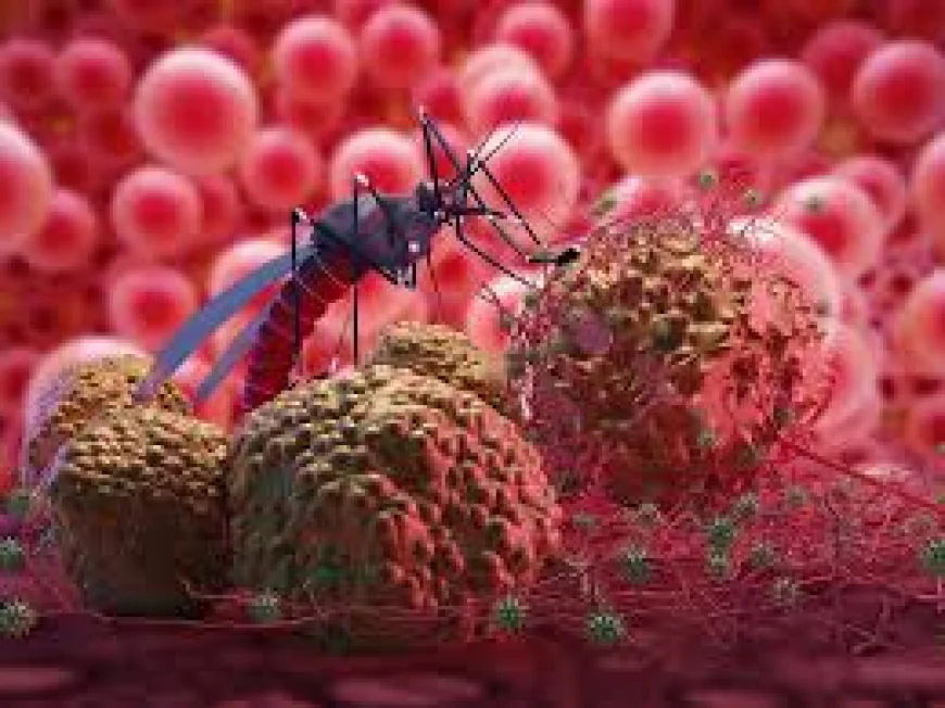 Nine Nigerians Die of Malaria Every Hour, Says SFH
