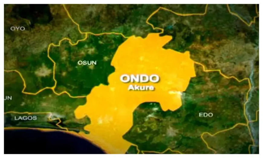 Ondo Tragedy: 25-Year-Old Man Beheads Teenage Brother, Sparks Panic in Community