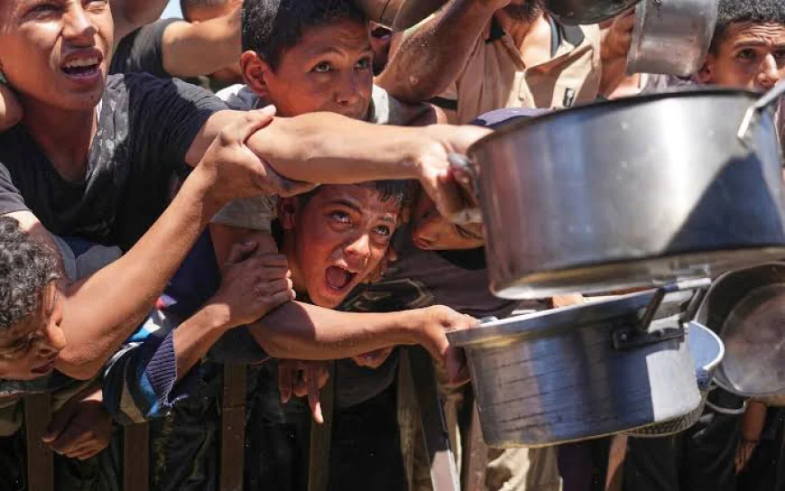 Gaza Humanitarian Crisis: Over 60,000 Dead, Children Starving as War Escalates