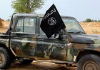 Chad Security Forces Arrest Boko Haram Founder’s Son Allegedly Leading Cell