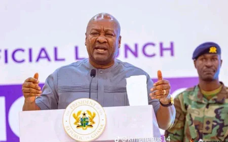 Mahama condemns military assault on JoyNews reporter