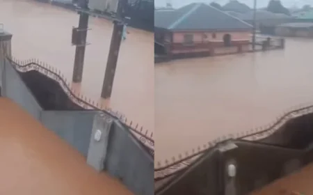 Lagos Environment Commissioner Responds to Viral Flooding Video in Ikorodu