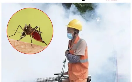 Over 7,000 Chikungunya Cases Reported in China’s Guangdong Province