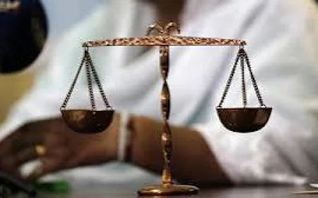 From Hashtags to Courtrooms: The Pursuit of Justice Intensifies