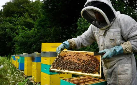 Bee Conservation Victory: France Maintains Ban on Dangerous Farm Chemical