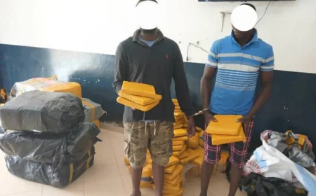 Two Arrested with 519 Parcels of Suspected Indian Hemp at Gomoa Nyanyano