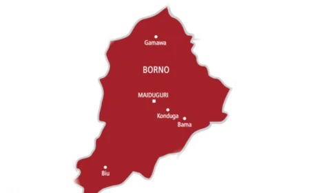 Displaced Kirawa Residents Struggle Between Nigeria and Cameroon Amid Renewed Insecurity