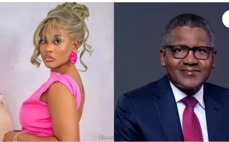 Phyna Calls Out Aliko Dangote After Dangote Truck Allegedly Crashes Sister 