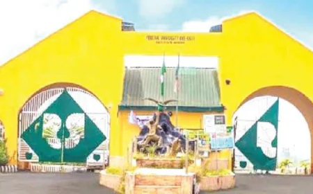 Nigeria to Get National Fake News Tracking Hub, Scholars Reveal