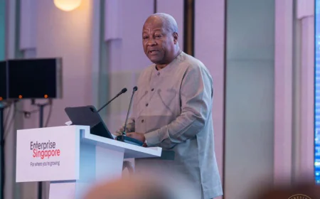 President Mahama Launches Ghana–Singapore Deal Team to Unlock $100M Investment Pipeline