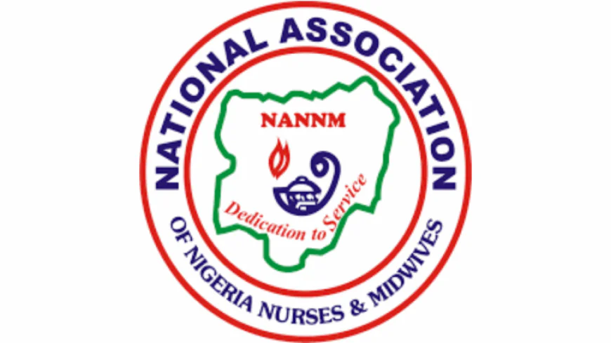 NANNM-FHI Insists Nationwide Nurses’ Strike Still Ongoing, Denies Suspension Claims
