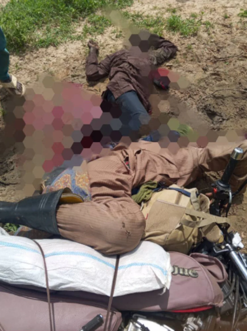 Troops Neutralise Three Terrorists in Borno During Joint Clearance Operation