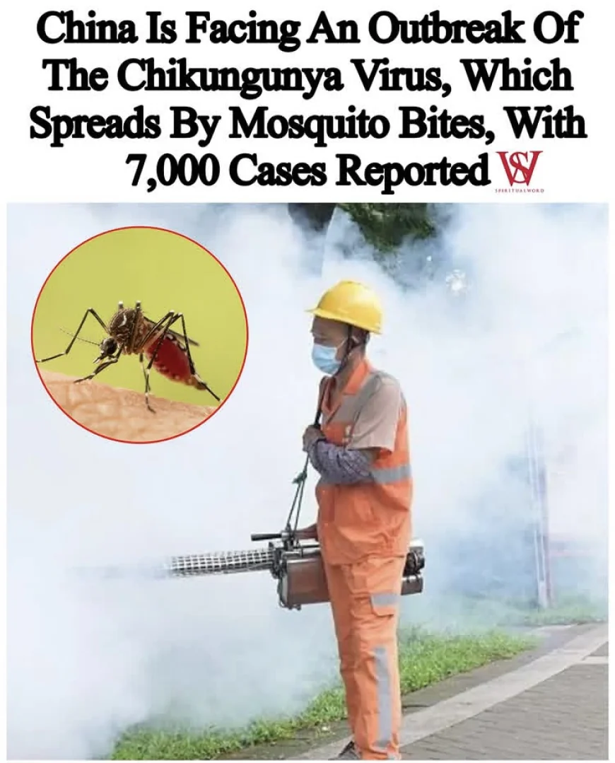 Over 7,000 Chikungunya Cases Reported in China’s Guangdong Province