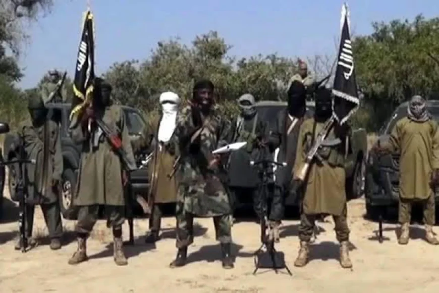 Between Two Countries: The Daily Struggle of Boko Haram Displaced Persons