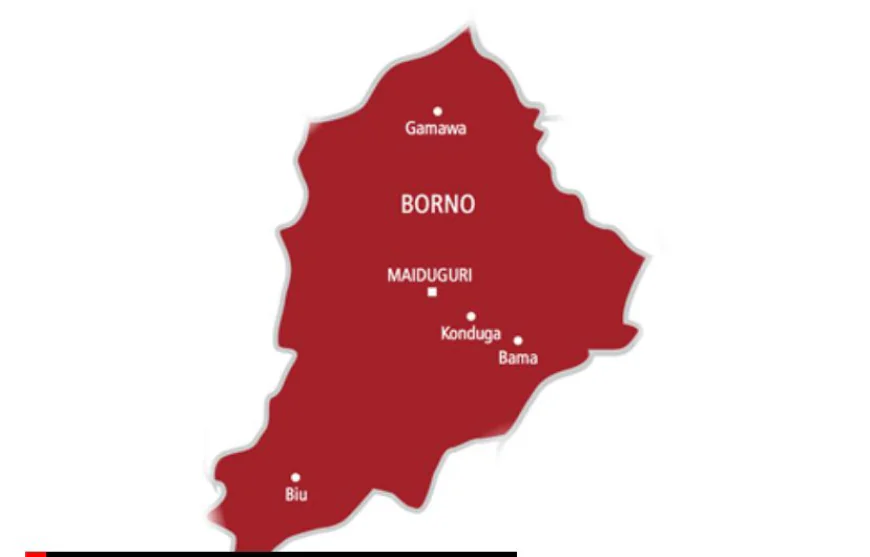 Displaced Kirawa Residents Struggle Between Nigeria and Cameroon Amid Renewed Insecurity
