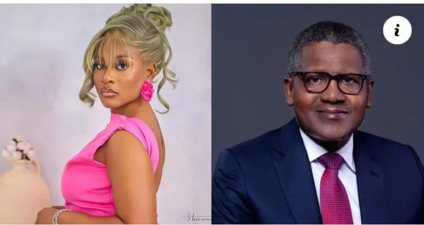 Phyna Calls Out Aliko Dangote After Dangote Truck Allegedly Crashes Sister 