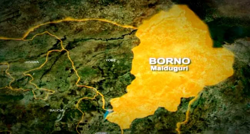 INEC Moves Continuous Voter Registration for Four Borno LGAs to Maiduguri Over Insecurity