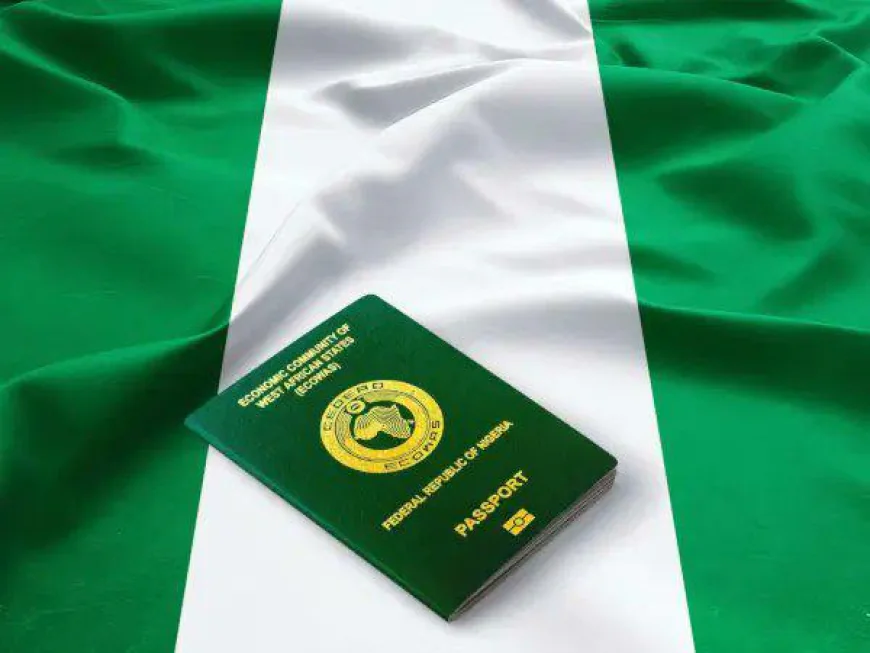 Visa Row: FG Responds to U.S. Policy With Reciprocal Action