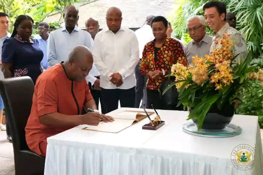 Mahama immortalised in bloom as Singapore extends diplomatic floral tribute