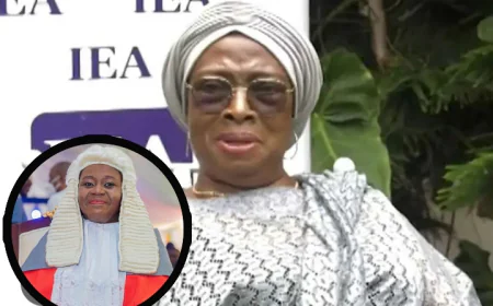 “Torkornoo's removal was like a treason trial” – Former CJ blasts process