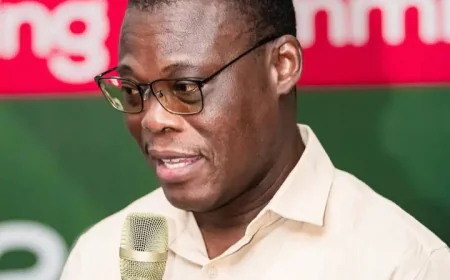 Fifi Kwetey warns NDC lawyers against ‘deals’ to shield corrupt officials