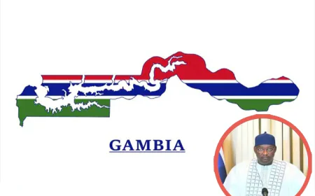 Gambia in turmoil over forced removal of Auditor General