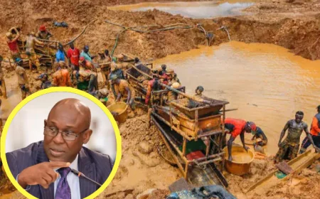 ‘No political will to fight galamsey’ - Kofi Bentil