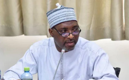 Ghana to Launch Digital Gun Licensing System by December 2025