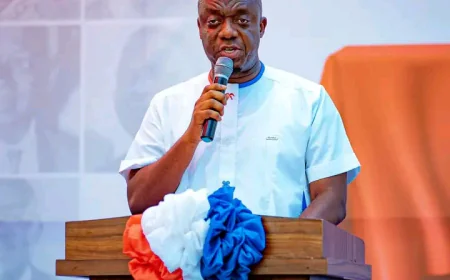 NPP disowns regional chairmen’s claims, reaffirms internal democracy