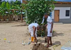 Renowned Fetish Priest plants cutlass in Nzima, vow no machine can remove it after seven days.
